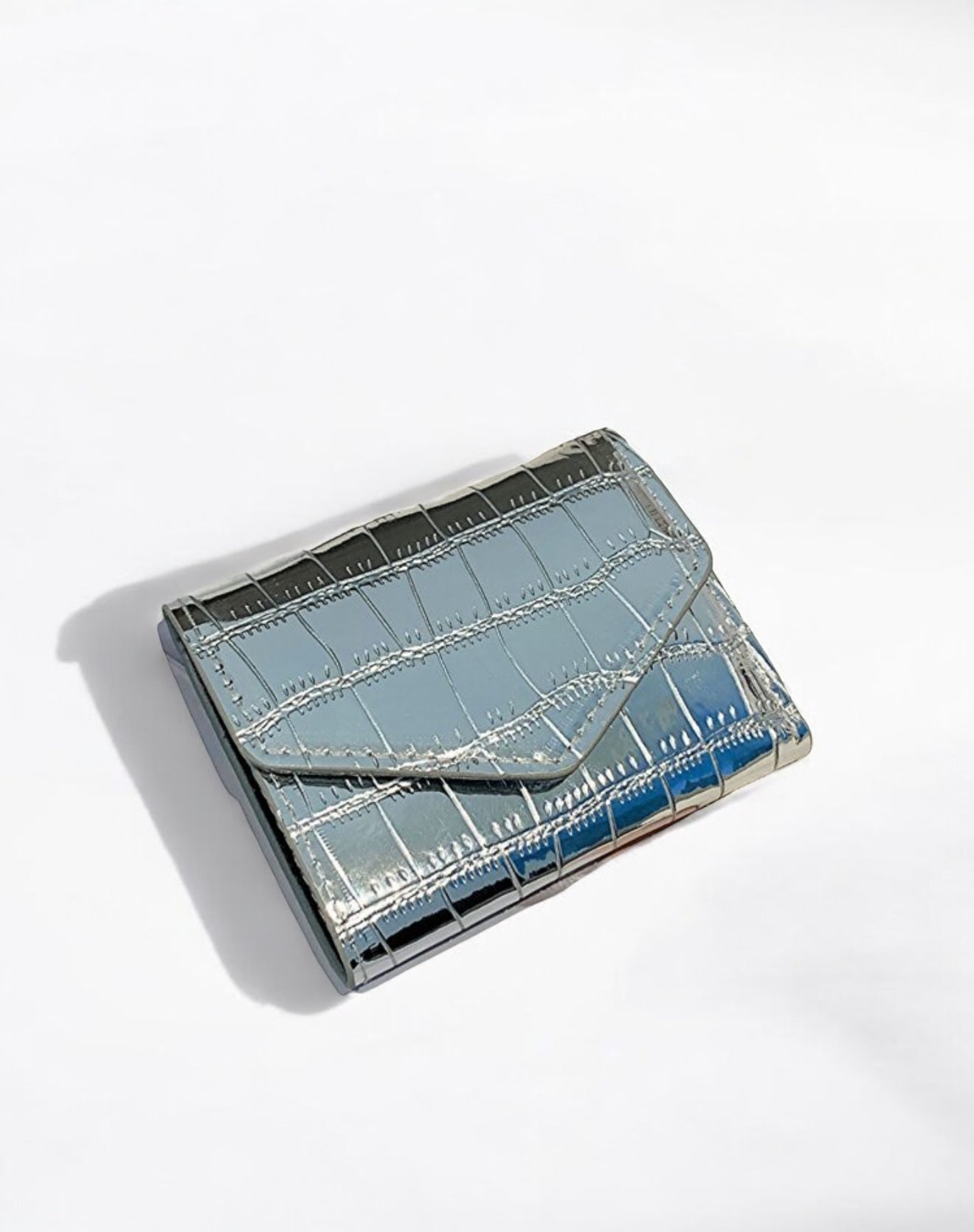 MONEDERO COCO METALIZADO