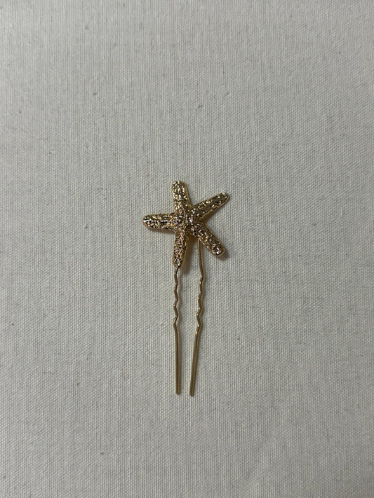 Peinecillo estrella de mar
